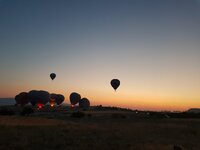 20210627_045541.jpg 20210627_045541.jpg