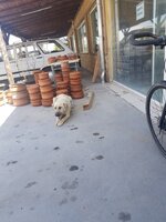 20210627_140247.jpg 20210627_140247.jpg