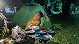 IMG_20210609_001720.jpg IMG_20210609_001720.jpg