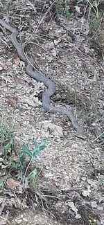 20210627_143226.jpg 20210627_143226.jpg