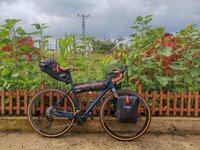 IMG_20210709_095559_1-01.jpeg IMG_20210709_095559_1-01.jpeg