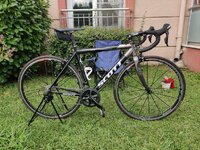 IMG_20210723_171328.jpg