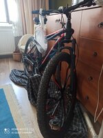 IMG_20210726_154855.jpg