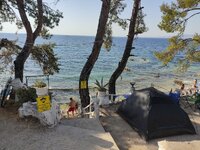 IMG_20210728_173610.jpg IMG_20210728_173610.jpg