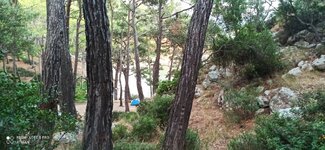 IMG_20210717_195914.jpg IMG_20210717_195914.jpg