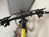 IMG-4519.png IMG-4519.png