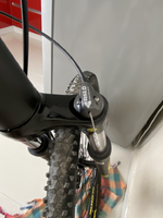 IMG-4520.png IMG-4520.png