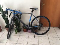 WhatsApp Image 2021-08-02 at 14.04.01.jpeg