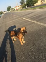 A0C85934-5822-407B-9D8C-6685CA7F56FE.jpeg