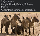 179D98C5-4451-43CD-A4F7-967B1E5237D8.jpeg