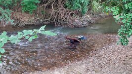 dal_23.jpg dal_23.jpg