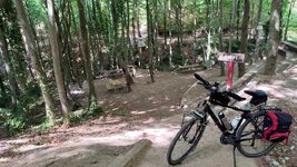 dal_43.jpg dal_43.jpg