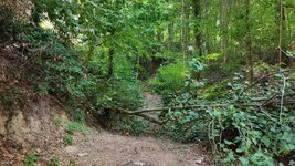 dal_44.jpg dal_44.jpg