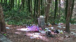 dal_45.jpg dal_45.jpg