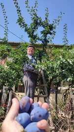 dal_10.jpg dal_10.jpg