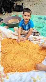 dal_17.jpg dal_17.jpg