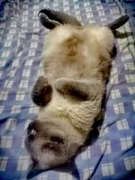 WhatsApp Image 2021-09-05 at 23.29.25.jpeg