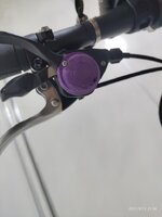 P10913-215641.jpg