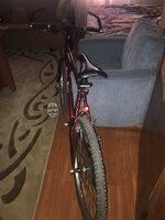 Bisan Mont blanc.jpg