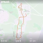 strava5939830485363947328.jpg