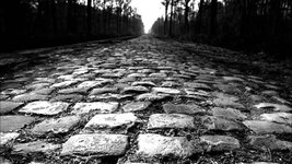 paris-roubaix.jpg