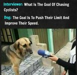 jp208uywh1r71.jpg jp208uywh1r71.jpg