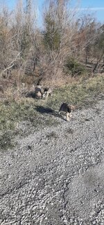 20211002_161916.jpg 20211002_161916.jpg