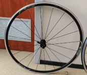 IMG_20211007_181018.jpg