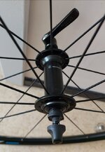 IMG_20211007_181058.jpg