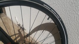 20211023_134755.jpg 20211023_134755.jpg