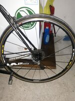 20211029_115532.jpg 20211029_115532.jpg