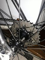 20211029_115550.jpg 20211029_115550.jpg