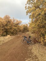 C0009014-3A23-4C74-9919-6EC000F8F8F7.jpeg
