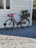 20210822_113308.jpg 20210822_113308.jpg