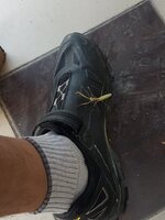 20211022_134111.jpg 20211022_134111.jpg