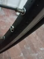 IMG-20211206-WA0007.jpeg