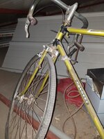 WRAW4231.JPG