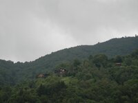 kackarlar 230.JPG