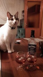 IMAG0248.jpg