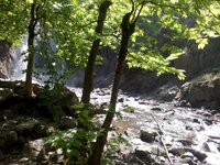 IMG_20150701_150349.jpg IMG_20150701_150349.jpg