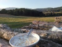 IMG_20150703_063356.jpg IMG_20150703_063356.jpg