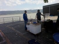 IMG_20150703_171118.jpg IMG_20150703_171118.jpg