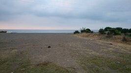 DSC_0114.JPG DSC_0114.JPG