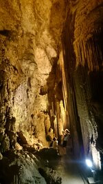 DSC_0233.JPG DSC_0233.JPG