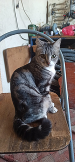 1641415014269.png 1641415014269.png