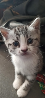 1641415021855.png 1641415021855.png