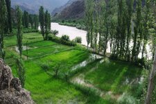 200907_24_30_0174.JPG 200907_24_30_0174.JPG