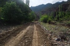 200907_24_30_0178.JPG 200907_24_30_0178.JPG