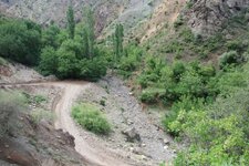 200907_24_30_0183.JPG 200907_24_30_0183.JPG