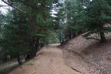 200907_24_30_0234.JPG 200907_24_30_0234.JPG